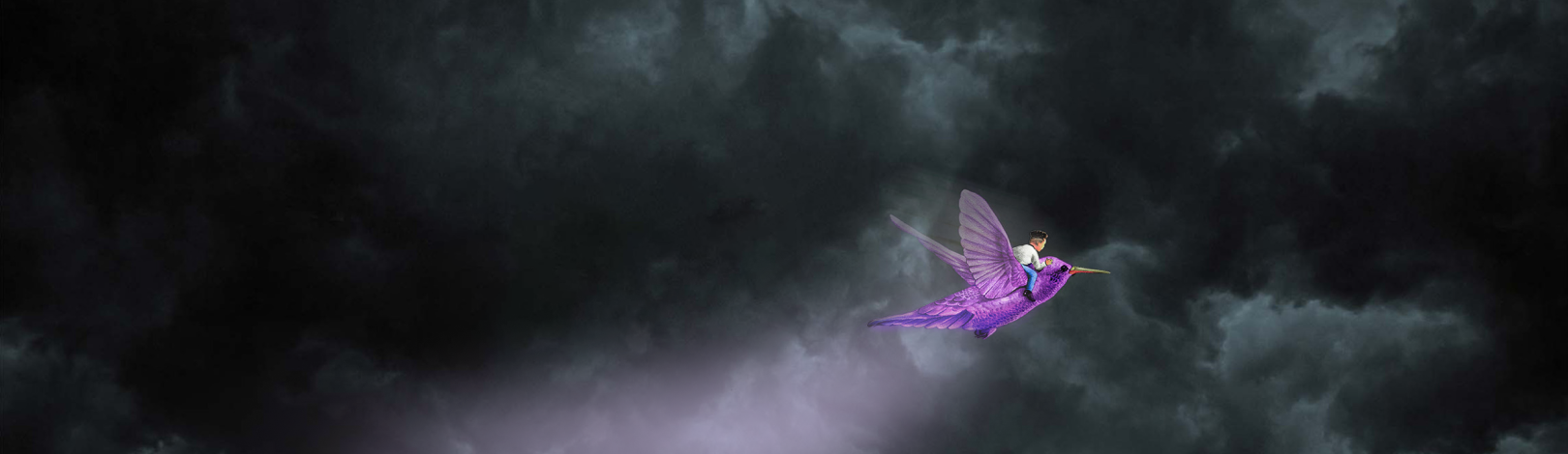 purple-banner_2.png