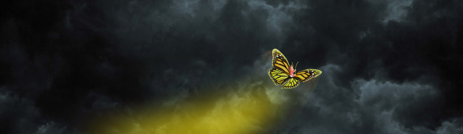 yellow-banner_2.png